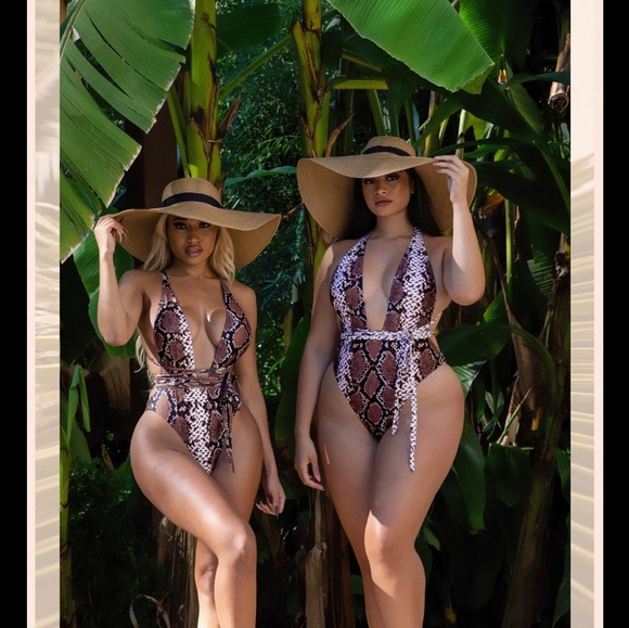 Matte Collection Other - One Piece Plunge Swimsuit